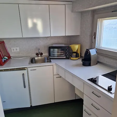 Lejlighed Angelina Studio-apartment Ronco sopra Ascona